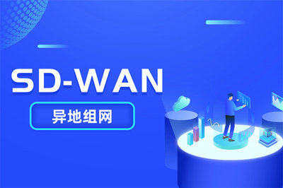 工厂异地组网方案 如何通过SDWAN管理平台高效组建跨厂区局域网